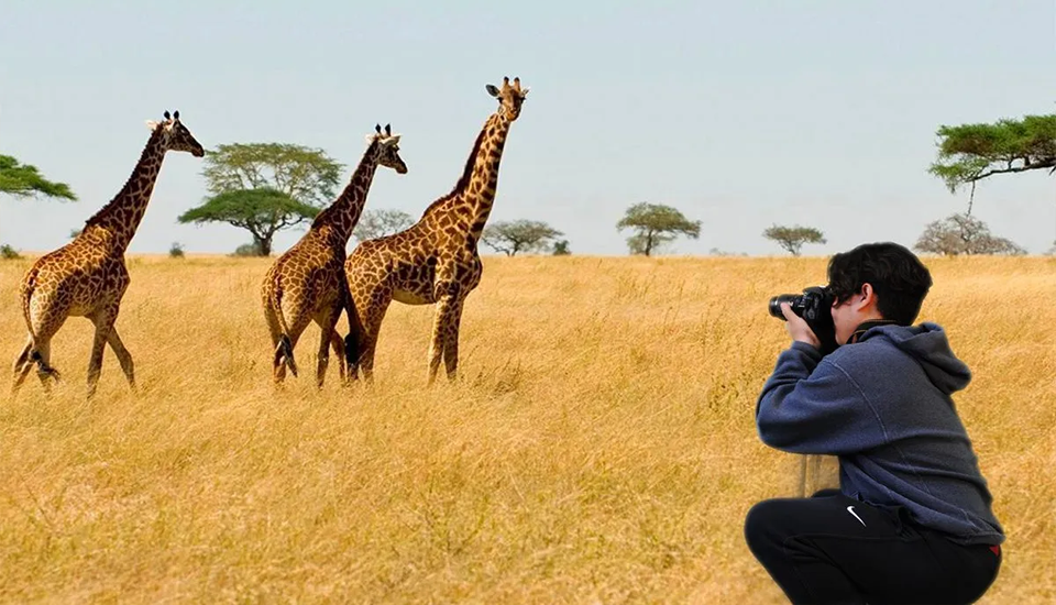 Tanzania wildlife safari across iconic national parks